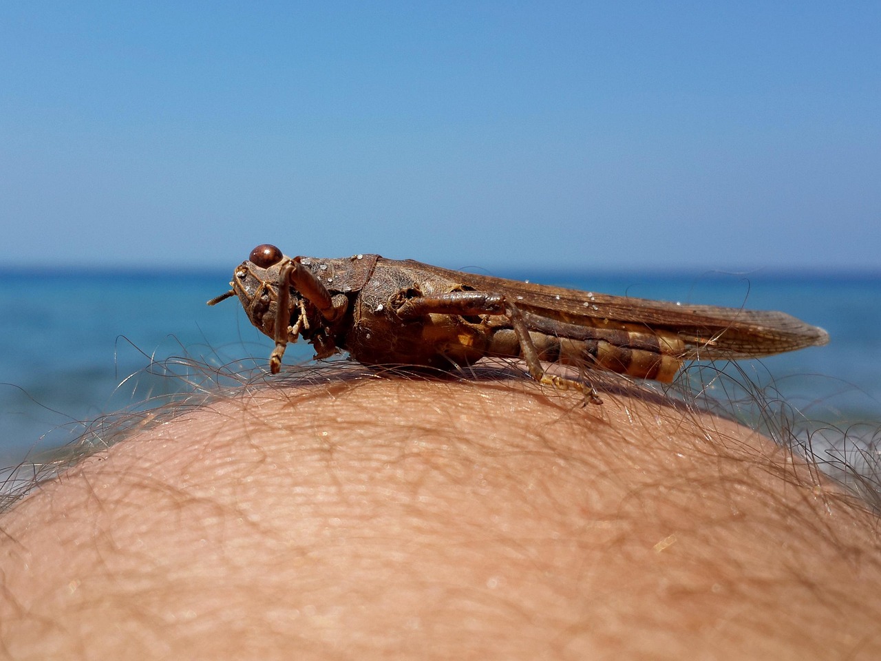 Kusadasi
