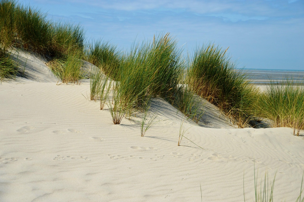 Hauts-de-France
