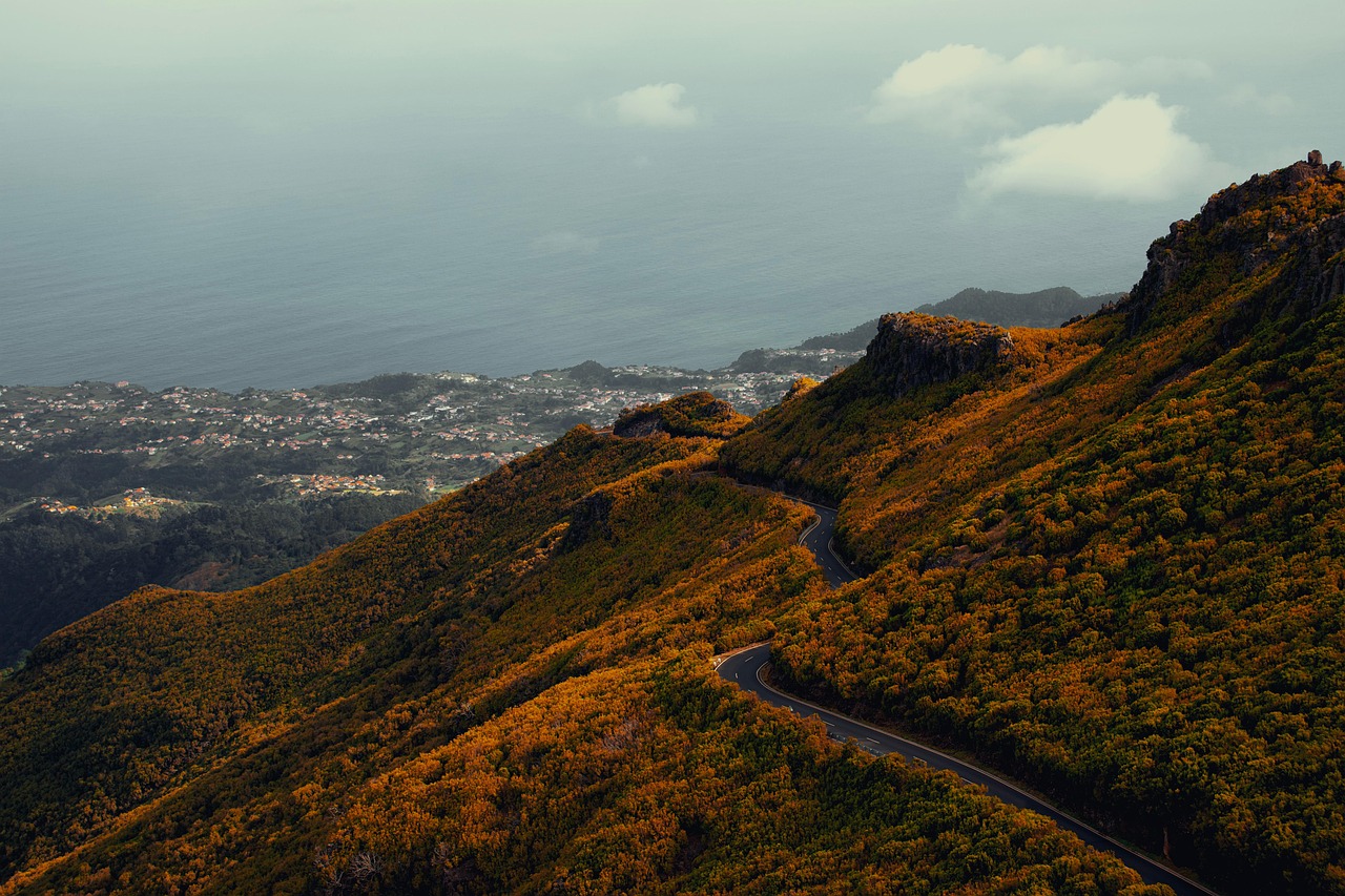 Estreito da Calheta