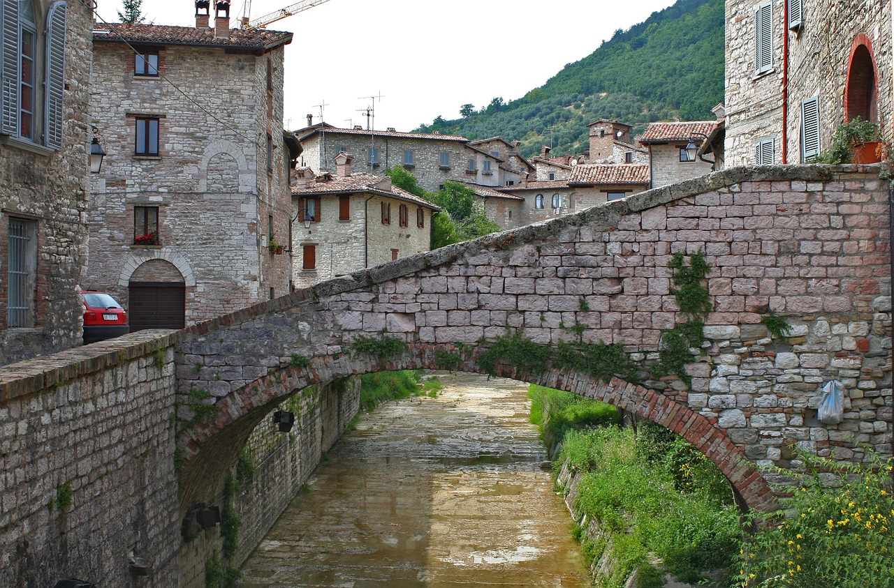 Gavi