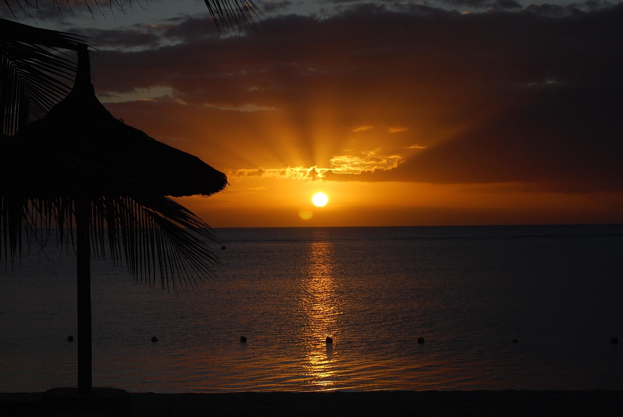 Palmar
