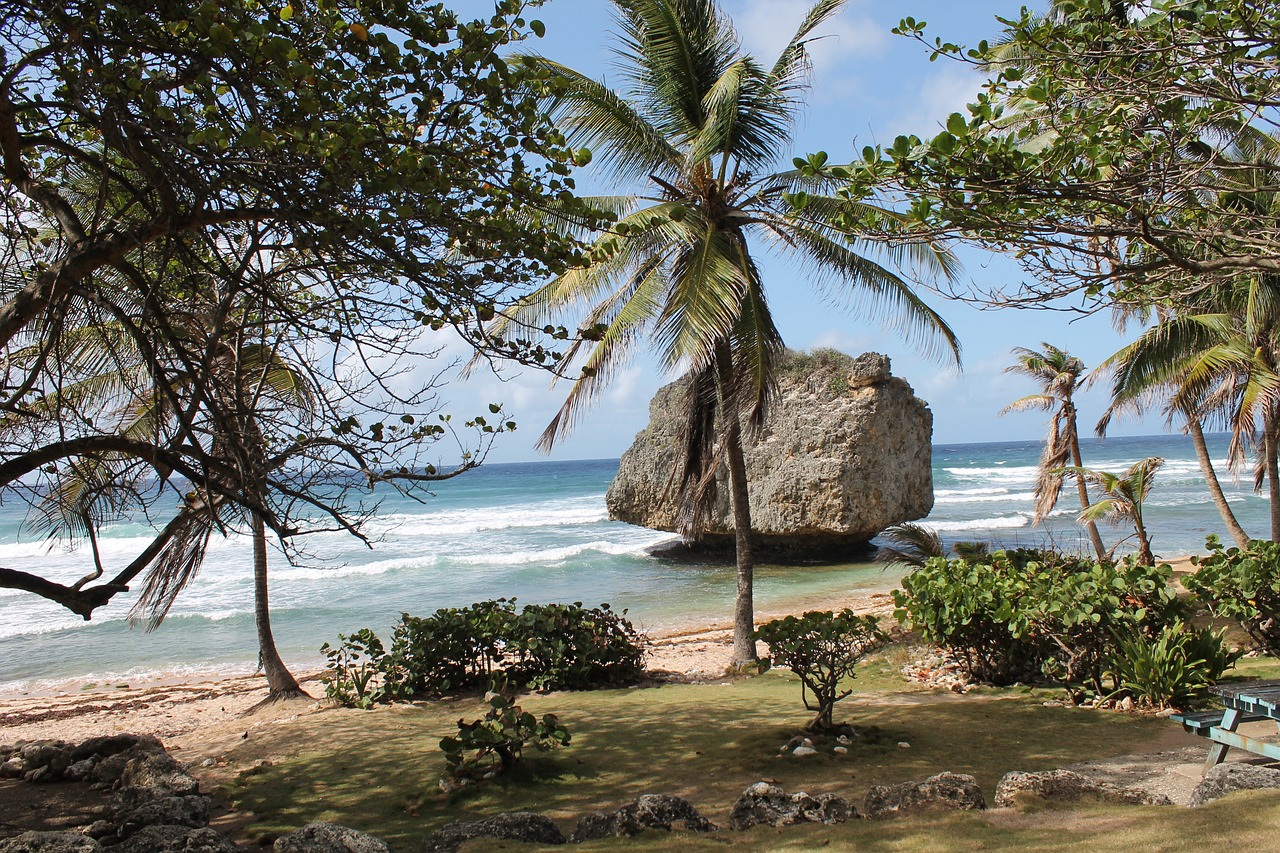 Rockley