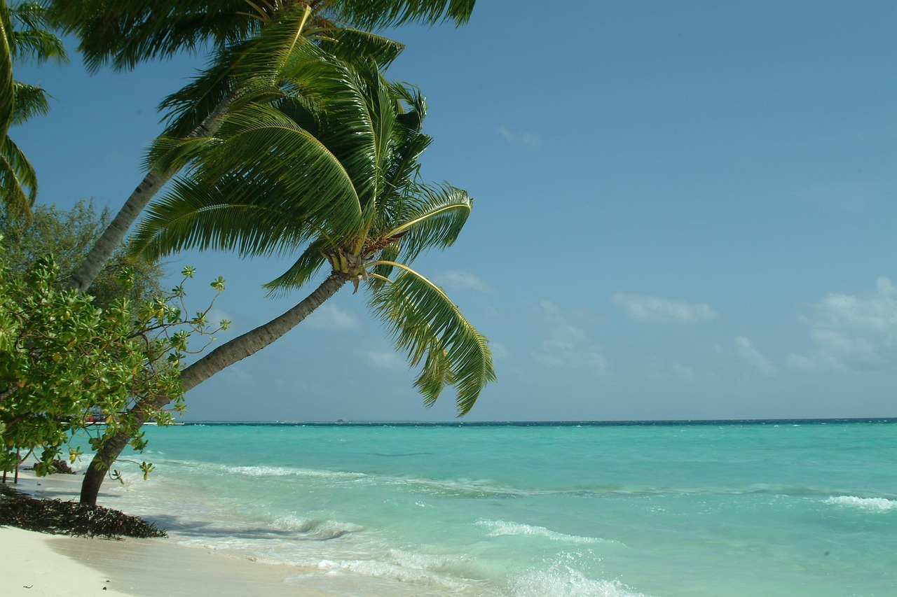 Hanimaadhoo